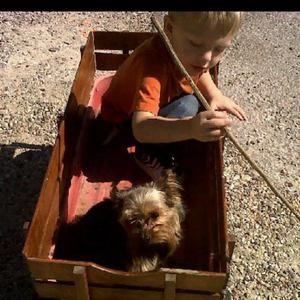 Meet your Posher, Chad